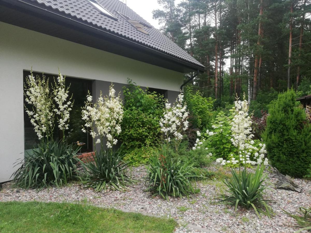 Cudodomek Spa W Mrozach Wielkich Kolo Elku Εξωτερικό φωτογραφία